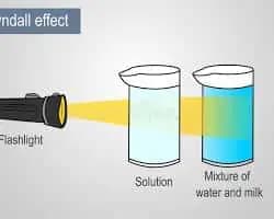 Tyndall Effect Objective Questions Class 12 chemistry