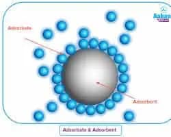gas Adsorption MCQs Class 12 surface chemistry