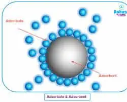 gas Adsorption MCQs Class 12 surface chemistry
