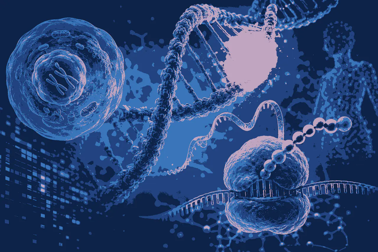 Human Genome and Gene Expression MCQs
