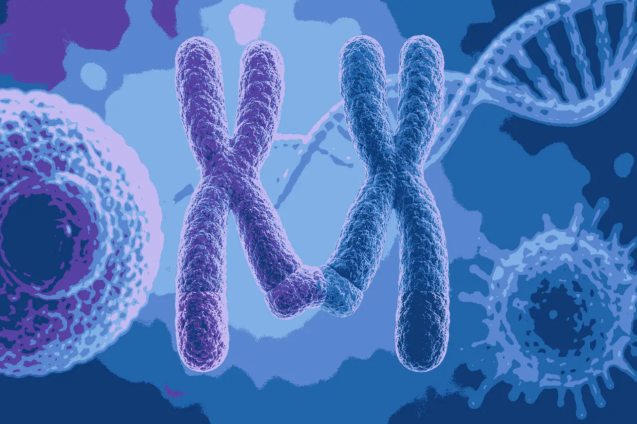 Philadelphia Chromosome MCQs for Class 12 Biology