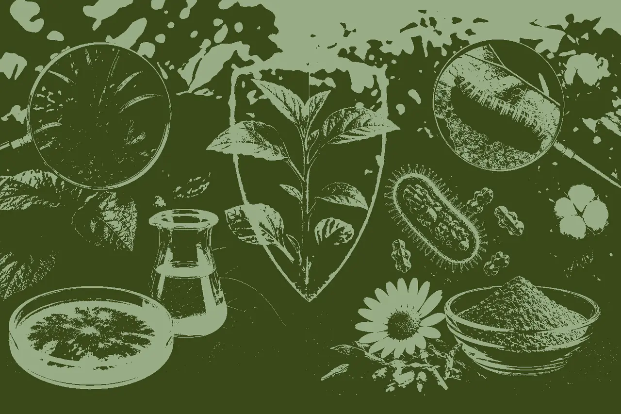 Bioherbicide and Bioinsecticide MCQs Class 12