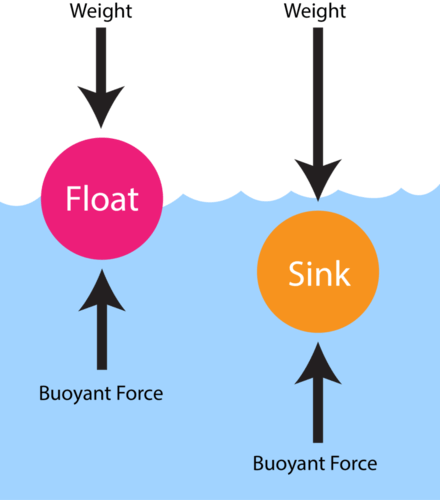 Best Fluid Statics and Dynamics MCQs to Crack NEET,JEE & CUET Physics Exams