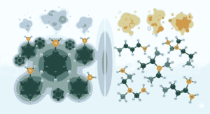 aromatic vs Aliphatic Amines MCQs class 12
