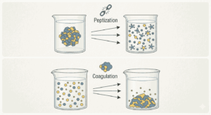 Peptization and coagulation MCQs class 12 Chemistry notes
