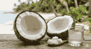 Coconut Endosperm Liquid and Solid MCQs Biology Class 12
