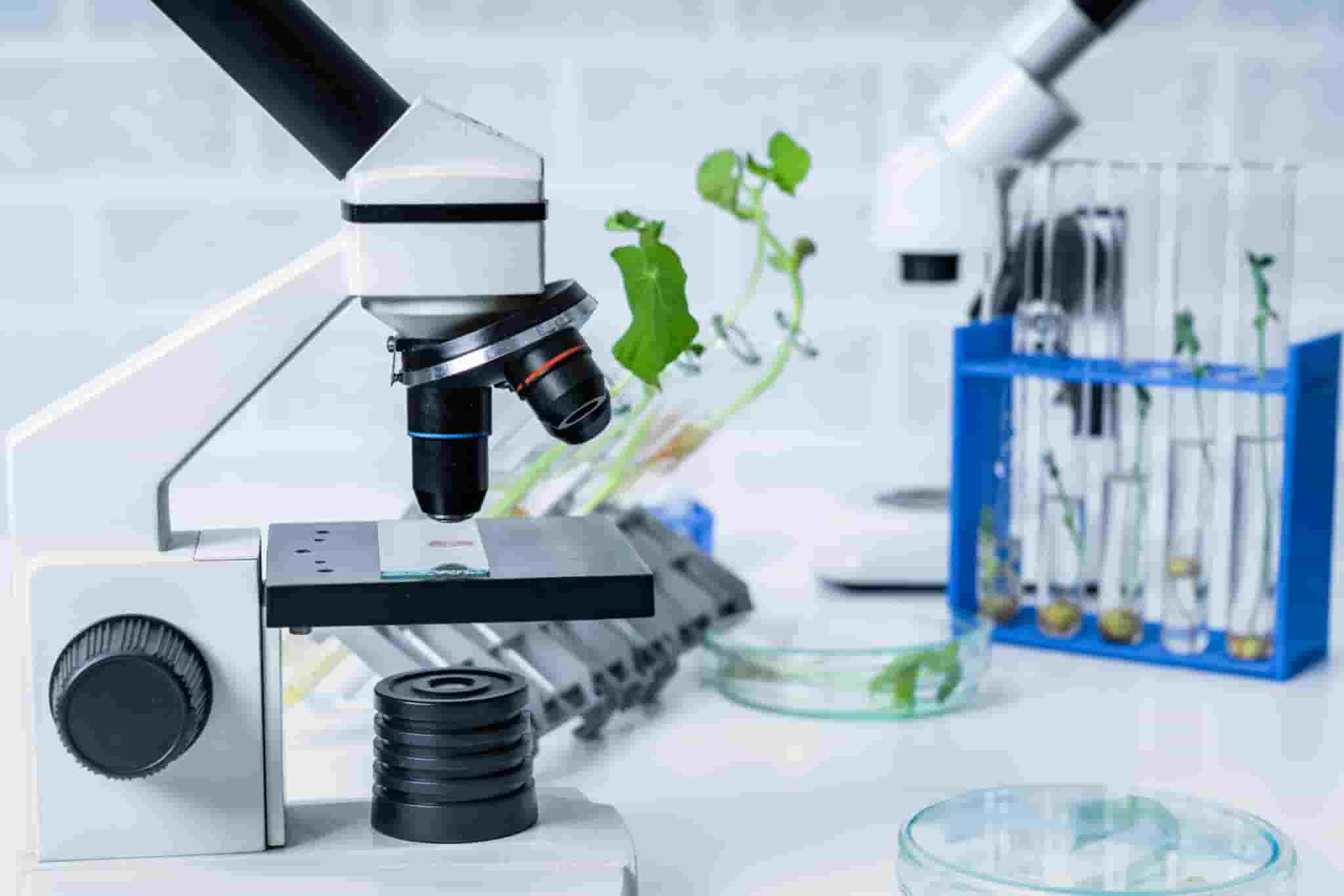 Boost Your Score Today: Mendelian Genetics Gene Concept MCQs Class 12 Biology with Answers for NEET, CUET