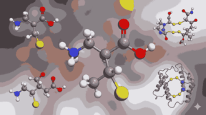 Sulphur Containing Amino Acids Cysteine MCQs with Answers