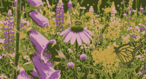 Pollination mechanisms and Floral Rewards mcqs class 12 Biology with answers