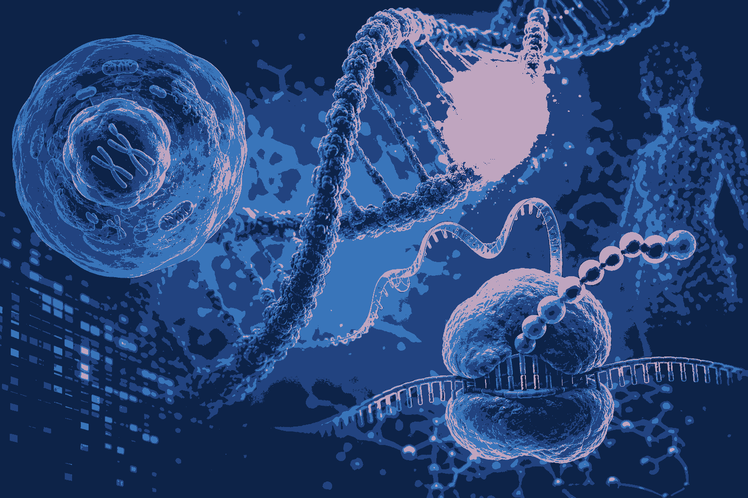 Advanced Human Genome and Gene Expression MCQs for Competitive Exams