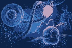 Human Genome and Gene Expression MCQs