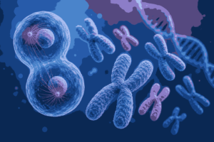 Nondisjunction and Aneuploidy MCQs Class 12 Biology