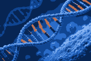 Palindromic Sequence MCQs Class 12 Biology