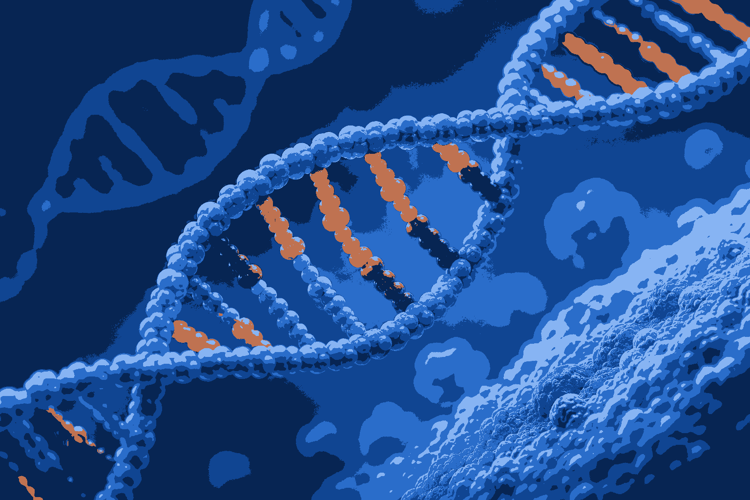 Ultimate Palindromic Sequence MCQs Class 12 Biology for Smart Revision