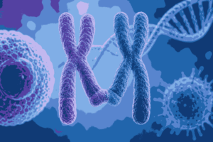 Philadelphia Chromosome MCQs for Class 12 Biology
