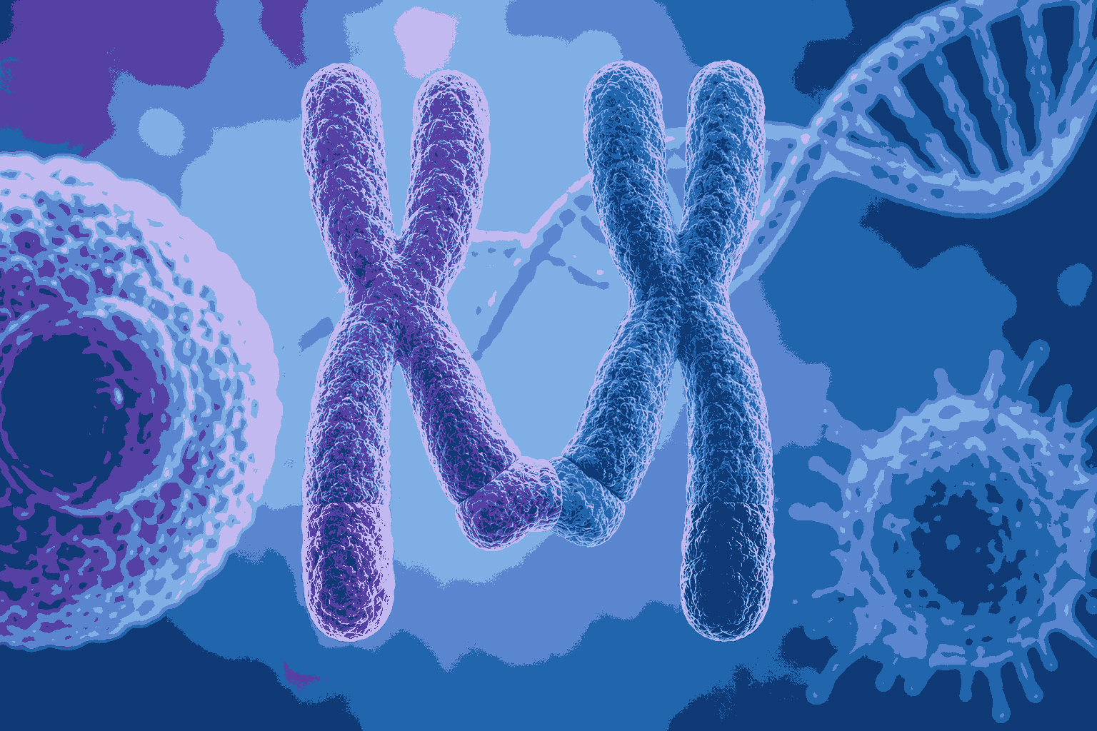Crack Competitive Exams: Powerful Philadelphia Chromosome MCQs for Class 12 Biology