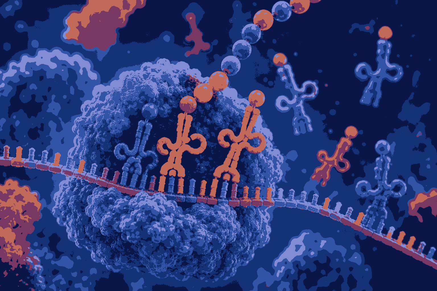 Ultimate Polypeptide Synthesis MCQs with Answers for Competitive Exams – Boost Your Biology Preparation Fast