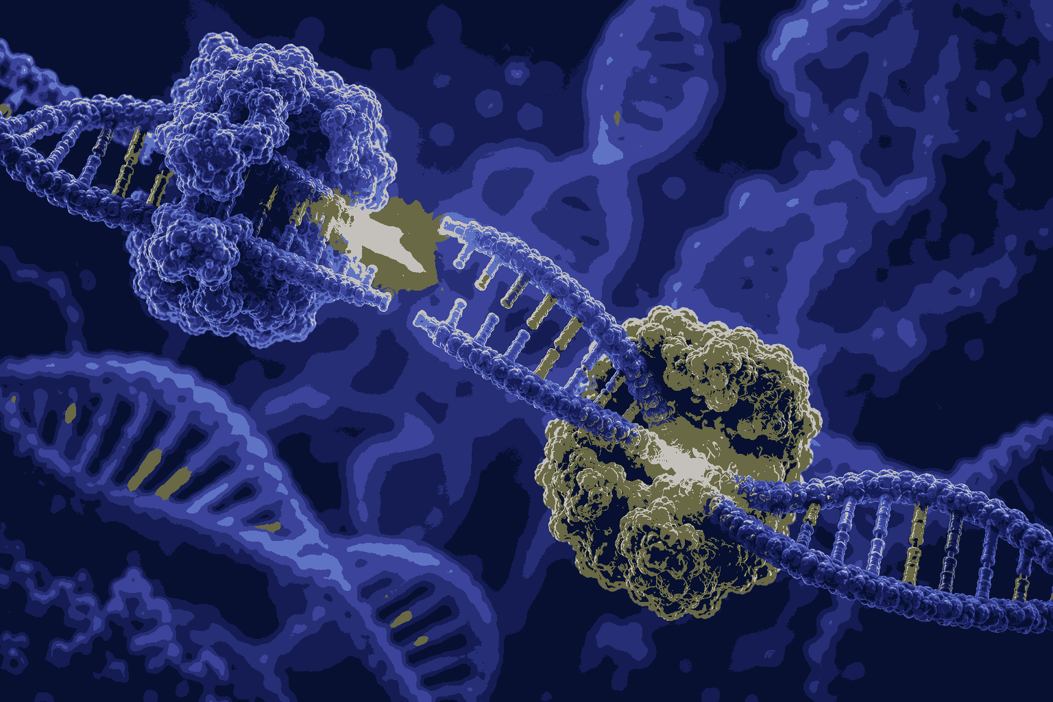 Ultimate Restriction Enzyme and Ligase MCQs Class 12 to Boost Your Exam Preparation