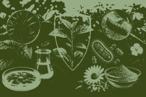 Bioherbicide and Bioinsecticide MCQs Class 12