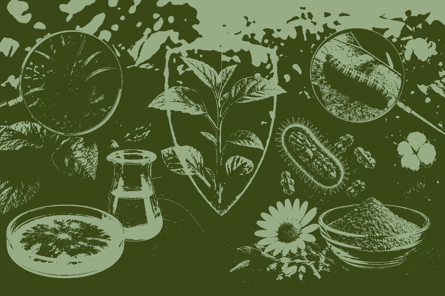 Top-Rated Bioherbicide and Bioinsecticide MCQs Class 12 with Detailed Answers
