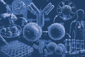 Monoclonal Antibodies MCQs with Answers Biology